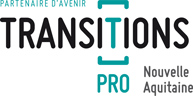 transitions-pro
